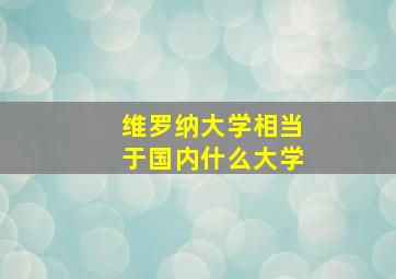 维罗纳大学相当于国内什么大学