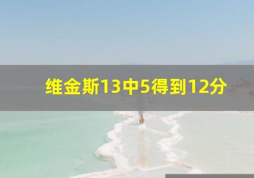 维金斯13中5得到12分