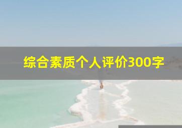 综合素质个人评价300字