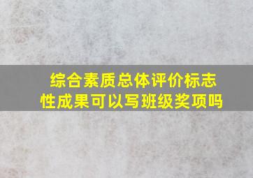 综合素质总体评价标志性成果可以写班级奖项吗