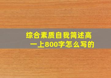 综合素质自我简述高一上800字怎么写的