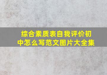 综合素质表自我评价初中怎么写范文图片大全集