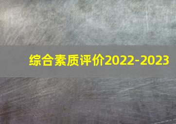 综合素质评价2022-2023