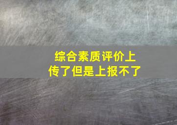 综合素质评价上传了但是上报不了