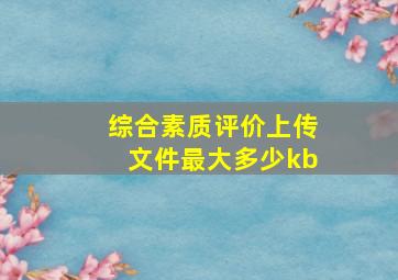 综合素质评价上传文件最大多少kb