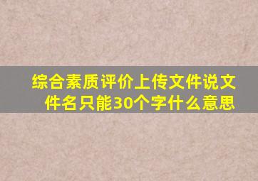 综合素质评价上传文件说文件名只能30个字什么意思