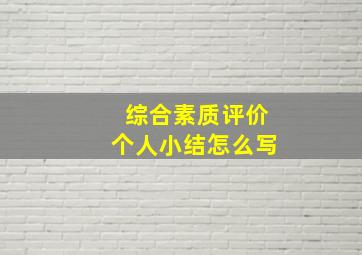 综合素质评价个人小结怎么写