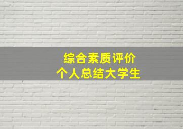 综合素质评价个人总结大学生