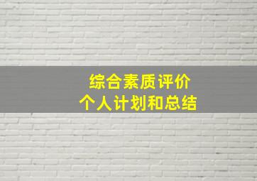 综合素质评价个人计划和总结