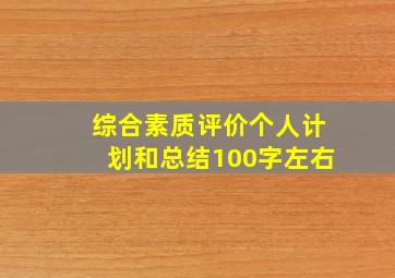 综合素质评价个人计划和总结100字左右