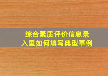 综合素质评价信息录入里如何填写典型事例