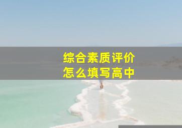 综合素质评价怎么填写高中