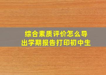 综合素质评价怎么导出学期报告打印初中生