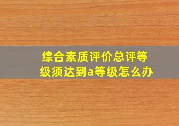 综合素质评价总评等级须达到a等级怎么办