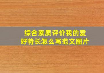 综合素质评价我的爱好特长怎么写范文图片