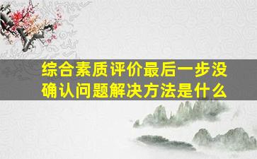 综合素质评价最后一步没确认问题解决方法是什么