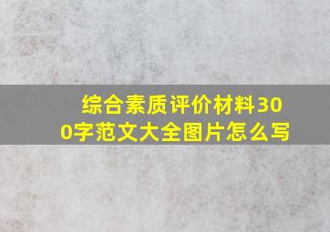 综合素质评价材料300字范文大全图片怎么写