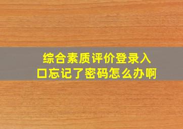 综合素质评价登录入口忘记了密码怎么办啊