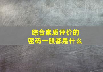 综合素质评价的密码一般都是什么