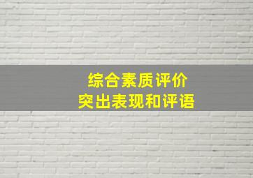 综合素质评价突出表现和评语