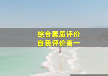 综合素质评价自我评价高一