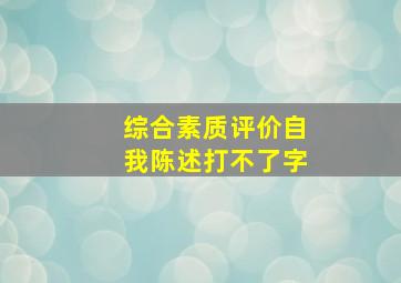 综合素质评价自我陈述打不了字