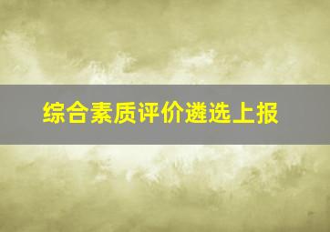 综合素质评价遴选上报