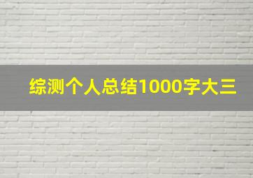 综测个人总结1000字大三