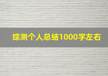 综测个人总结1000字左右