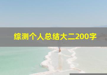 综测个人总结大二200字