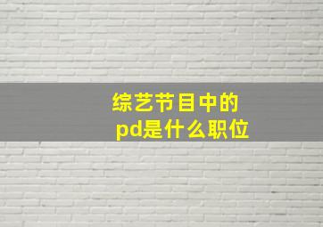 综艺节目中的pd是什么职位