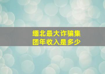 缅北最大诈骗集团年收入是多少