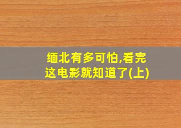 缅北有多可怕,看完这电影就知道了(上)