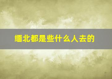 缅北都是些什么人去的