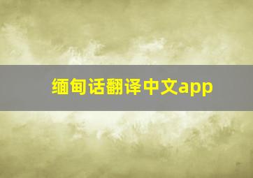 缅甸话翻译中文app