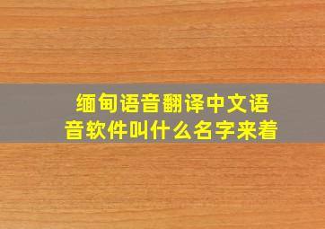 缅甸语音翻译中文语音软件叫什么名字来着