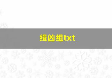 缉凶组txt