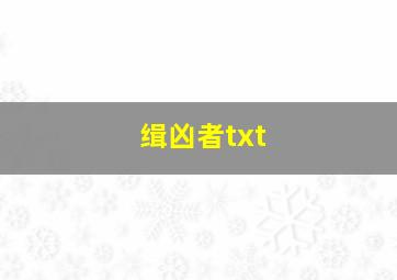 缉凶者txt