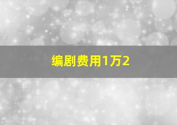 编剧费用1万2