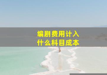 编剧费用计入什么科目成本