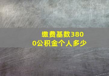 缴费基数3800公积金个人多少