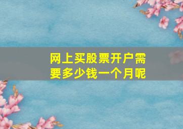 网上买股票开户需要多少钱一个月呢