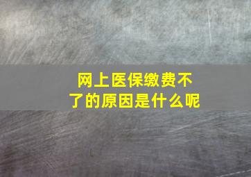 网上医保缴费不了的原因是什么呢