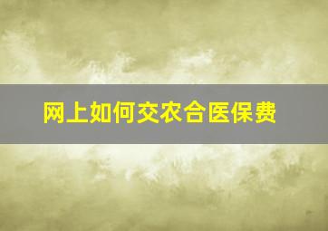 网上如何交农合医保费