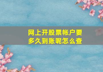 网上开股票帐户要多久到账呢怎么查