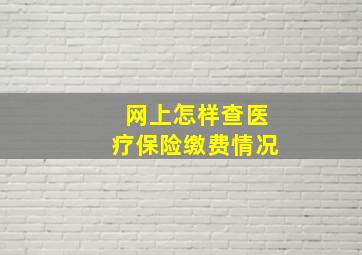 网上怎样查医疗保险缴费情况