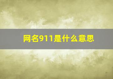 网名911是什么意思