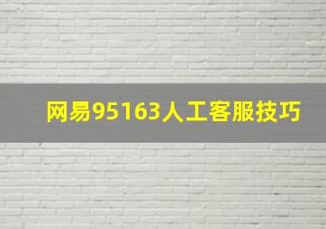 网易95163人工客服技巧