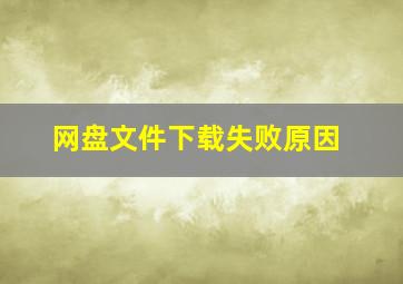 网盘文件下载失败原因