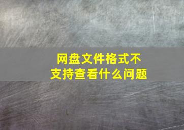 网盘文件格式不支持查看什么问题